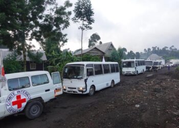 Guerre du M23 : le CICR facilite le transfert de 15 personnes libérées par Kinshasa vers l’AFC/M23