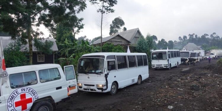Guerre du M23 : le CICR facilite le transfert de 15 personnes libérées par Kinshasa vers l’AFC/M23